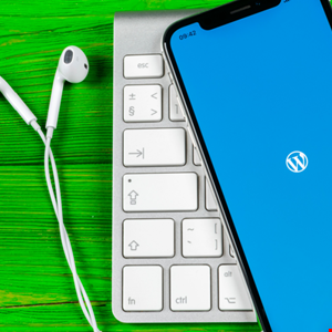 Diversi difetti riscontrati nel tema e nel plugin Avada WordPress