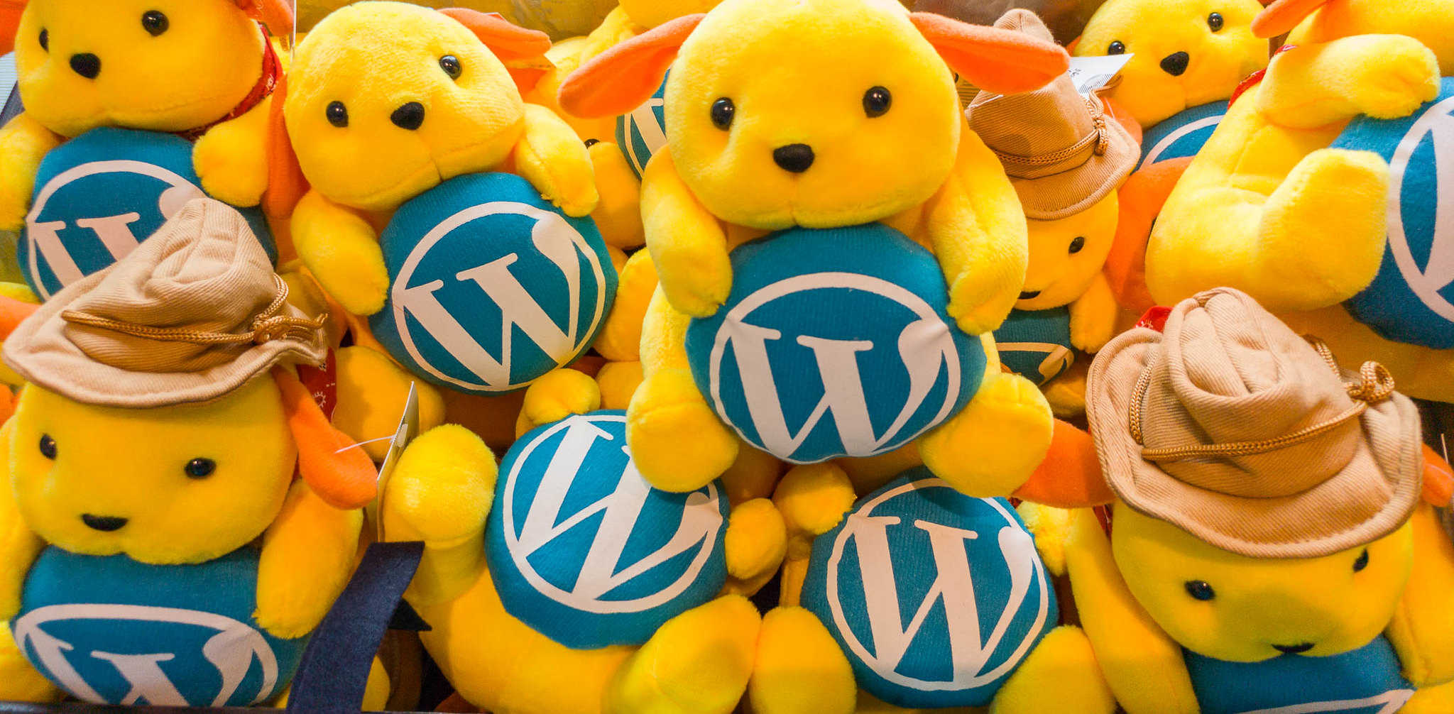 Rilasciato WordPress 6.4 Beta 1 – WP Tavern