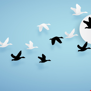 Un difetto espone il plugin WP Migration agli attacchi hacker