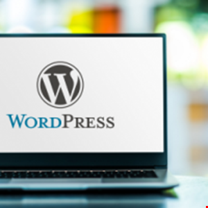 Il difetto del plug-in dei componenti aggiuntivi essenziali espone un milione di siti Web WordPress