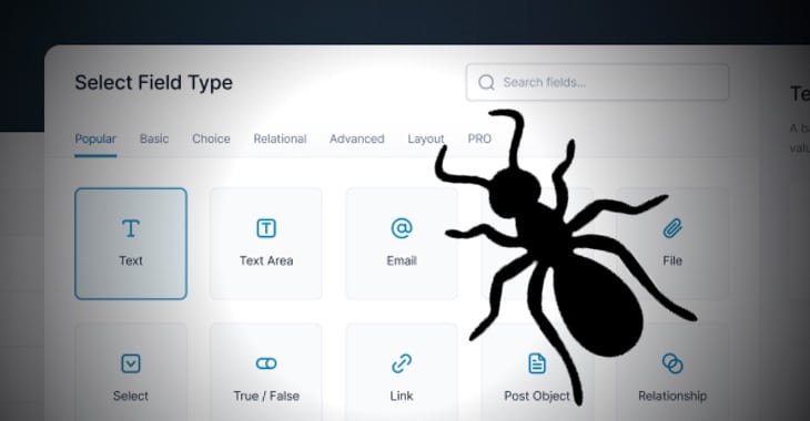 La vulnerabilità del plugin WordPress mette a rischio due milioni di siti web • Graham Cluley