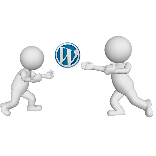 Eccellenza nella creazione: caricamenti WordPress personalizzati tramite API