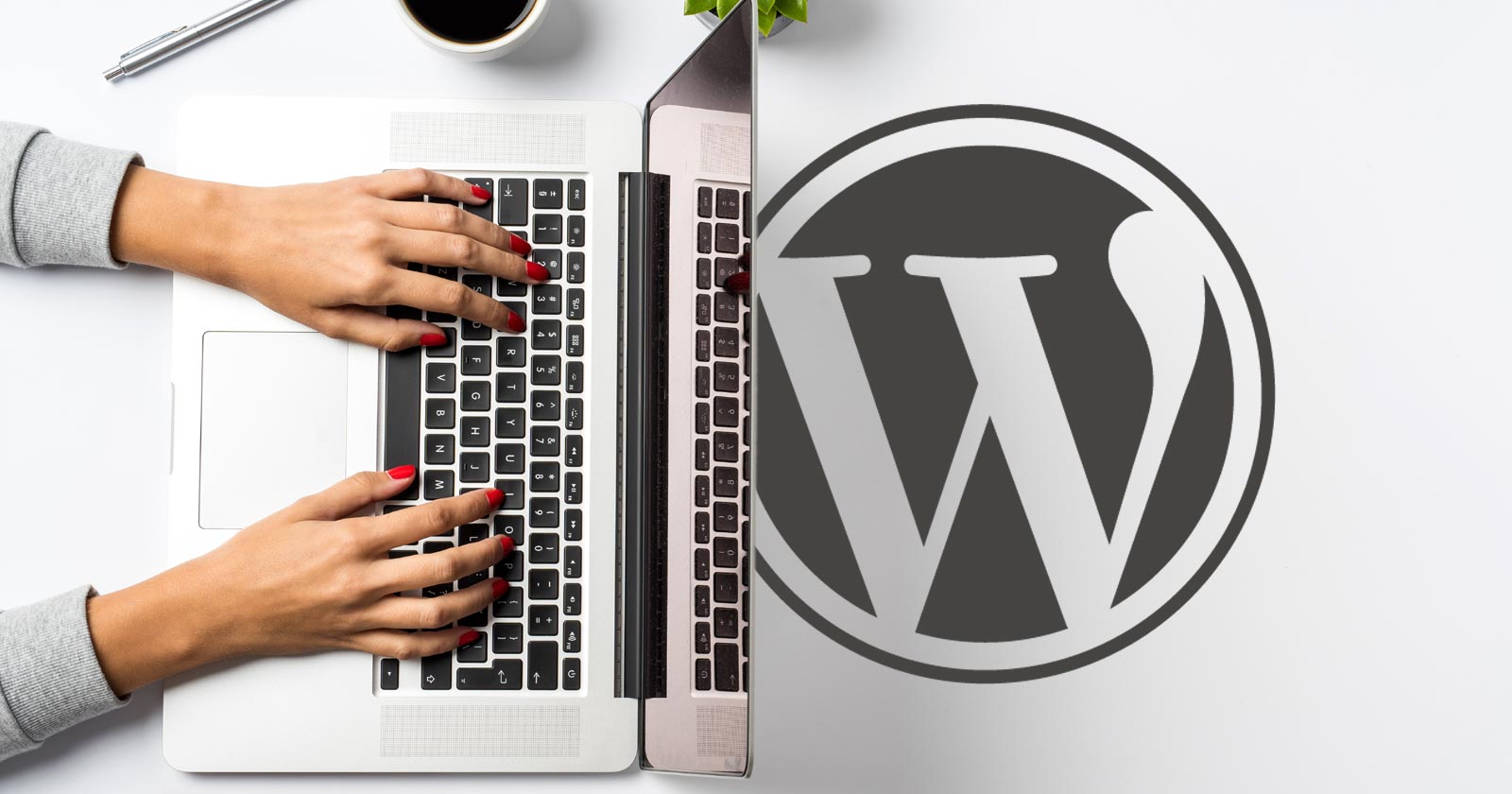 WordPress Playground: un nuovo strumento che devi provare subito