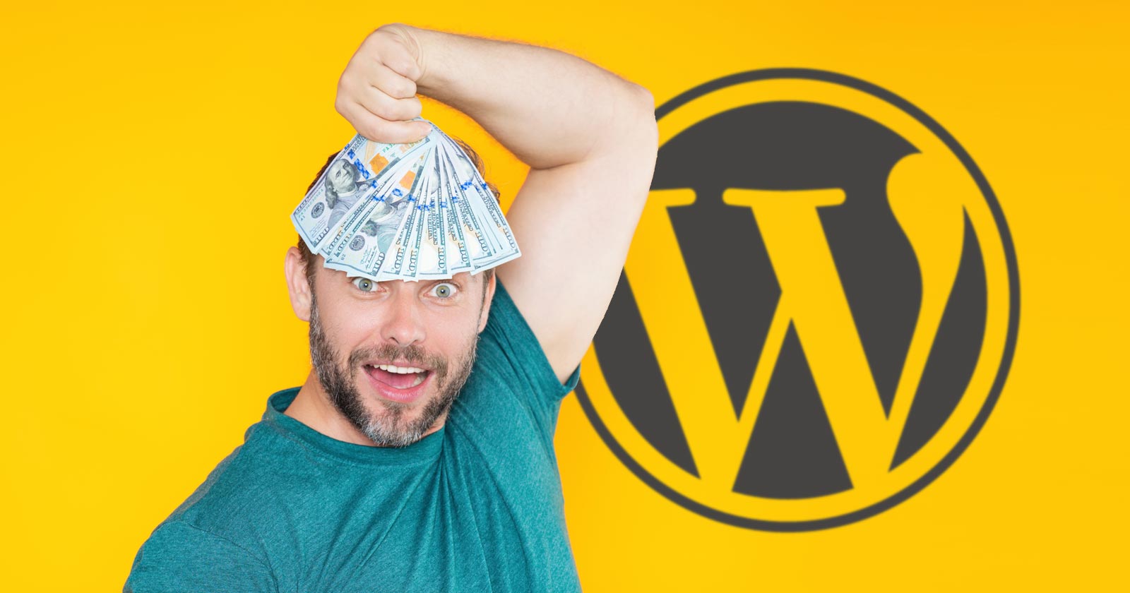 Un nuovo modo per monetizzare WordPress