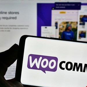 Difetti di sicurezza riscontrati nel popolare plugin WooCommerce