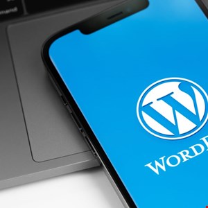 Aggiornamento del plugin WP Time Capsule sollecitato dopo una falla di sicurezza critica